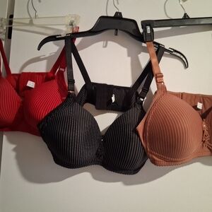 Pacifica Black and Brown Striped Bra Set